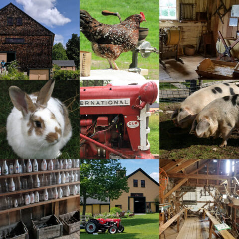 The New Hampshire Farm Museum