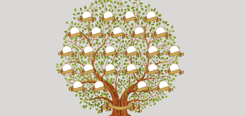 Discover your family tree